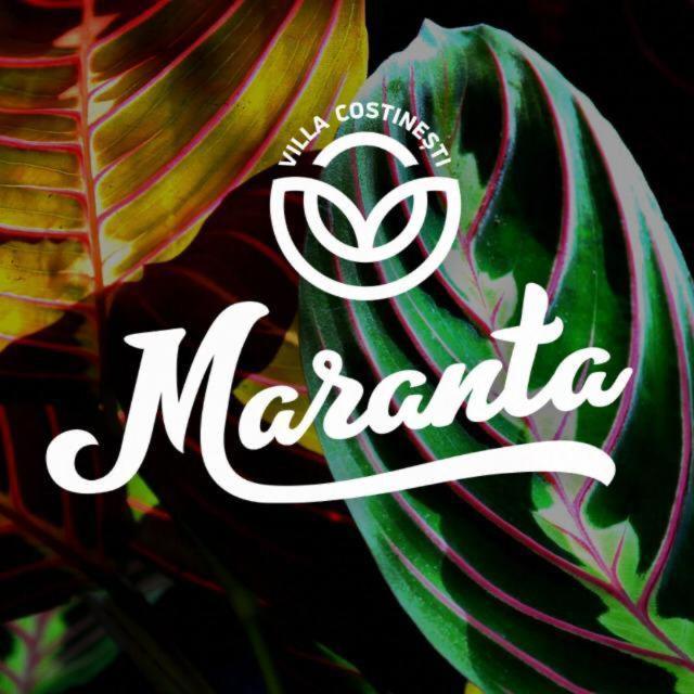 Casa Maranta Hotel Costinesti Buitenkant foto